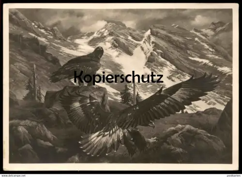 ALTE POSTKARTE MÜNCHEN DEUTSCHES MUSEUM STEINADLER MICHAEL KIEFER ADLER golden eagle aigle AK Ansichtskarte postcard cpa