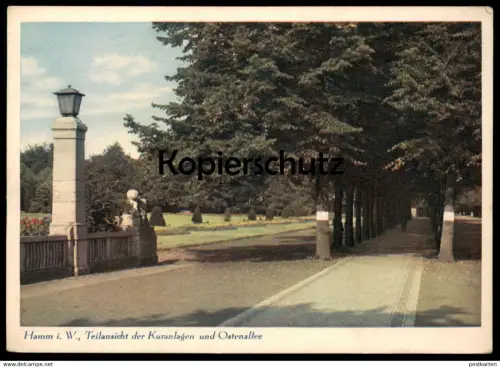 ALTE POSTKARTE HAMM IN WESTFALEN TEILANSICHT DER KURANLAGEN UND OSTENALLEE Ansichtskarte postcard cpa AK