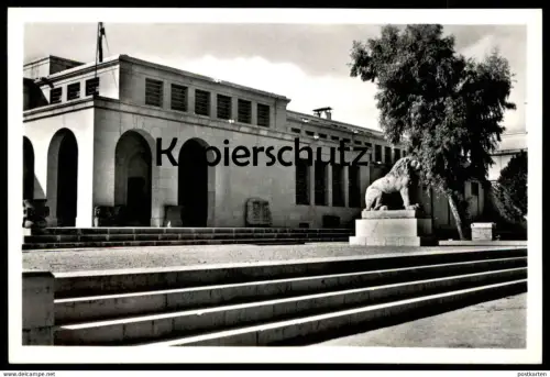 ÄLTERE POSTKARTE DAMAS LE MUSÉE DAMASCUS THE MUSEUM Syrie Syria Syrien Löwe lion cpa postcard AK Ansichtskarte