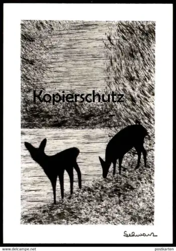 ÄLTERE KÜNSTLER POSTKARTE LINOLSCHNITT REH HIRSCH Rehe Roe fallow deer daim chevreuil cerf Schwarz Linol Ansichtskarte