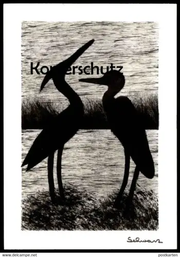 ÄLTERE KÜNSTLER POSTKARTE VÖGEL VOGEL FISCHREIHER REIHER SCHWARZ LINOLSCHNITT Linol heron AK Ansichtskarte postcard cpa