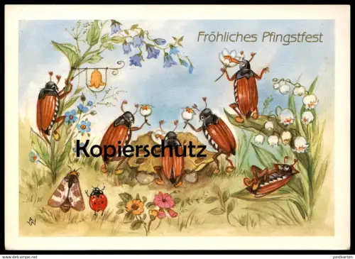 ÄLTERE POSTKARTE FRÖHLICHES PFINGSTFEST MAIKÄFER VERMENSCHLICHT KÄFER Pfingsten Motte Marienkäfer pentecost chafer cpa