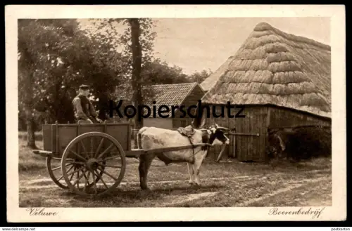 ALTE POSTKARTE VELUWE BOERENBEDRYF BOEREN BEDRYF Bauer Karren Kuh cow Nederland Niederlande Holland netherlands postcard