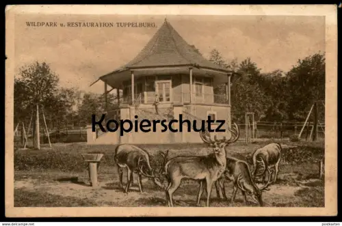 ALTE POSTKARTE WILDPARK RESTAURATION TUPPELBURG HIRSCHE TEPLITZ TEPLICE Dubi Eichwald ceska republika czech postcard cpa