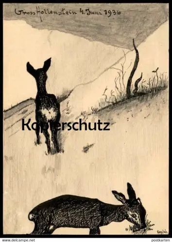ALTE POSTKARTE ORIGINAL ZEICHNUNG REHE GROSSHOLLENSTEIN 04.06.1936 REH HOLLENSTEIN AK Ansichtskarte postcard cpa