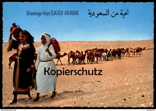 ÄLTERE POSTKARTE GREETINGS FROM SAUDI ARABIA women in tradtional costume camels Tracht Kamele Arabien cpa postcard AK