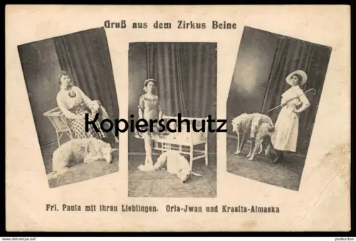 ALTE POSTKARTE ZIRKUS BEINE HUNDE cirque circus Borzoi ? Russischer Wolfshund ? dog chien Ansichtskarte postcard cpa AK