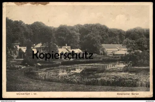 ALTE POSTKARTE MÜNSTER IN WESTFALEN BOTANISCHER GARTEN botanical garden Ansichtskarte AK postcard cpa