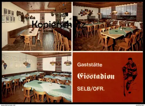 ÄLTERE POSTKARTE SELB IN BAYERN GASTSTÄTTE EISSTADION ice hockey sur glace Eishockey Wildschwein Ansichtskarte postcard