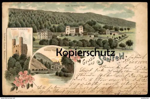 ALTE LITHO POSTKARTE GRUSS AUS SAALFELD SAALE SOMMERSTEIN OBERNITZ HOHE SCHWARM chateau castle Ansichtskarte postcard AK