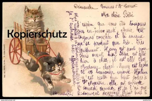 ALTE POSTKARTE KATZEN KATZE ZIEHT KARREN VERMENSCHLICHT Einspänner cat cats chat chats Ansichtskarte cpa postcard AK
