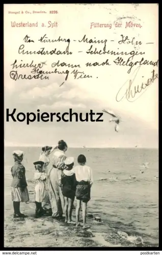 ALTE POSTKARTE WESTERLAND AUF SYLT 1899 FÜTTERUNG DER MÖWEN KINDER KIND MUTTER FRAU AK Ansichtskarte postcard cpa