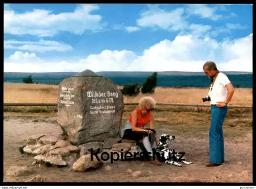 ÄLTERE POSTKARTE DALMATINER WILSEDER BERG Hund dalmatian dog chien dalmatien Ansichtskarte AK postcard cpa