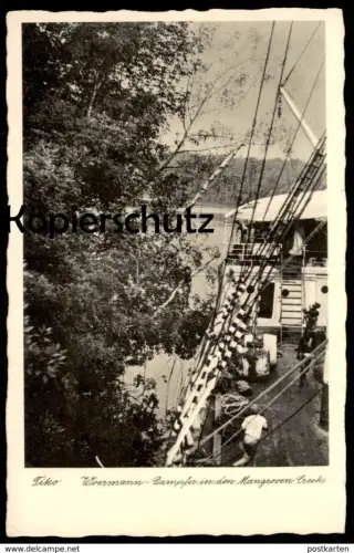 ALTE POSTKARTE WOERMANN DAMPFER IN DEN MANGROVEN CREEKS TIKO KAMERUN Cameroun Cameroon steam ship Schiff