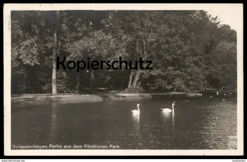 ALTE POSTKARTE DONAUESCHINGEN PARTIE AUS DEM FÜRSTLICHEN PARK 1924 Schwäne cygne swan parc Ansichtskarte AK cpa postcard