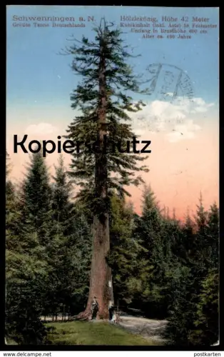 ALTE POSTKARTE GRÖSSTE TANNE SCHWENNINGEN HÖLZLEKÖNIG BIGGEST TREE VILLINGEN arbre Baum AK Ansichtskarte cpa postcard