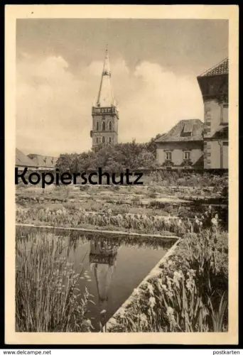 ALTE POSTKARTE OSNABRÜCK BOTANISCHER GARTEN AM SCHLOSSPARK Botanik Garten garden Ansichtskarte AK postcard cpa