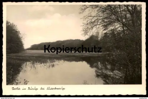 ALTE POSTKARTE PARTIE IN RURUP BEI SÜDERBRARUP See Ruruplund postcard cpa AK Ansichtskarte Schleswig-Holstein