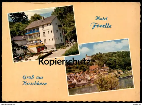 ÄLTERE POSTKARTE HIRSCHHORN AM NECKAR HOTEL PENSION FORELLE BES. H. ZIEGLER AK Ansichtskarte cpa postcard