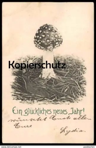 ALTE POSTKARTE FLIEGENPILZ EIN GLÜCKLICHES NEUES JAHR NEUJAHR Pilz fly agaric tue-mouche cpa postcard Ansichtskarte AK
