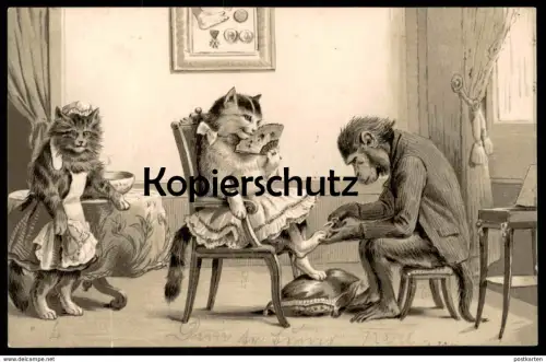 ALTE PRÄGE POSTKARTE KATZE VERMENSCHLICHT AFFE PEDIKÜRE monkey ape singe cat cats chat chats Katzen postcard cpa AK