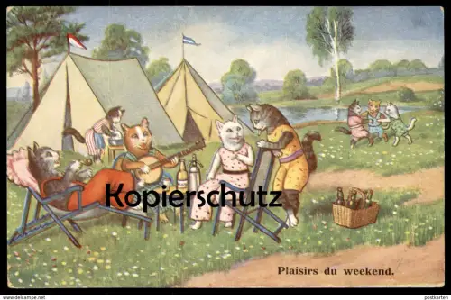 ALTE POSTKARTE KATZEN VERMENSCHLICHT PLAISIERS DU WEEKEND Zelt Zelten camping tent cat cats chat chats Katze postcard