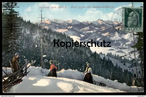 ALTE POSTKARTE BAD KOHLGRUB AUFSTIEG ZUM HÖRNLE BLICK GEGEN DIE AMMERWALDBERGE Schlitten Ansichtskarte AK cpa postcard