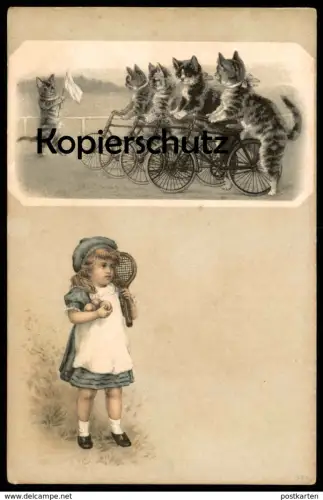 ALTE POSTKARTE KATZEN VERMENSCHLICHT ALS RENNRADFAHRER Radsport racing bike Tennis Katze Cat Chat Cats Chats postcard AK