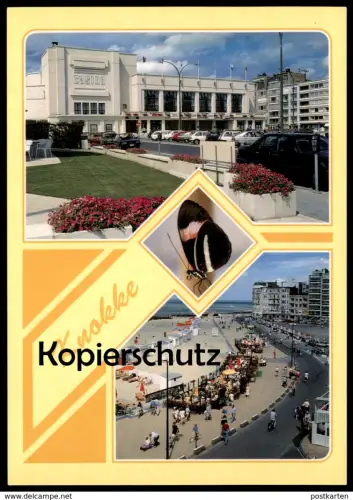 ÄLTERE POSTKARTE KNOKKE SCHMETTERLING ZEBRAFALTER heliconius beskei butterfly papillon cpa postcard AK Ansichtskarte