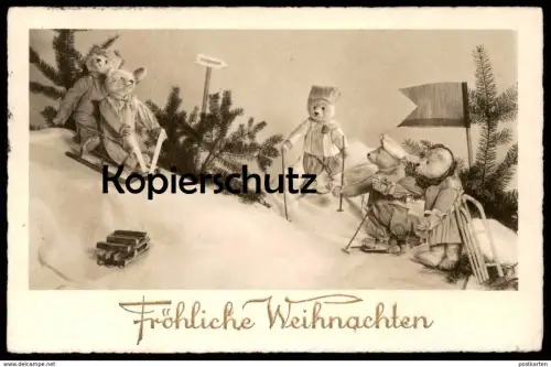 ALTE POSTKARTE TEDDYBÄREN RODELN VERMENSCHLICHT Teddy Bär Beer Bear Ours Oso Nounours Bären sleigh luge Ansichtskarte AK