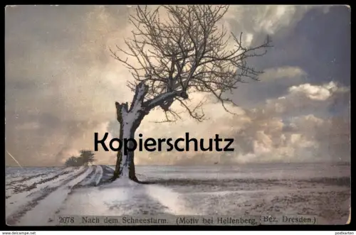 ALTE POSTKARTE NACH DEM SCHNEESTURM MOTIV BEI HELFENBERG BEZIRK DRESDEN SCHÖNFELD-WEISSIG NENKE OSTERMAIER Ansichtskarte