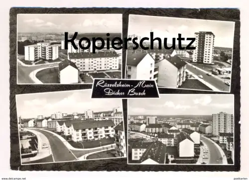 ÄLTERE POSTKARTE RÜSSELSHEIM MAIN DICKER BUSCH Ansichtskarte AK cpa postcard