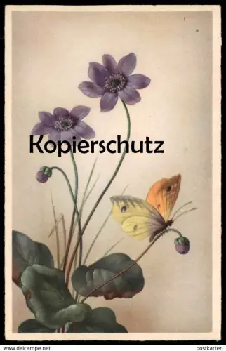 ALTE KÜNSTLER POSTKARTE SCHMETTERLING AUF BLUME flower fleur butterfly papillon cpa postcard AK Ansichtskarte