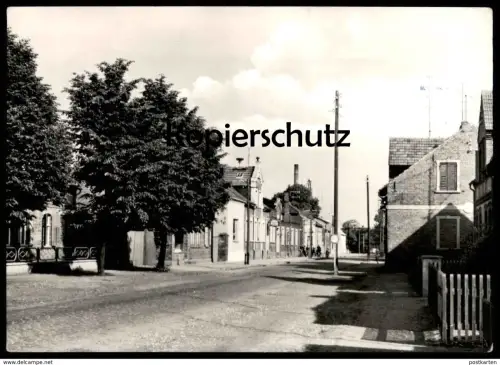 ÄLTERE POSTKARTE GOLDBECK KREIS OSTERBURG BABENER STRASSE Arenburg-Goldbeck Ansichtskarte AK cpa postcard