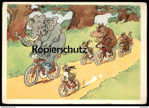 ÄLTERE POSTKARTE HIPPOS ELEFANTEN VERMENSCHLICHT Nilpferd Fahrrad elephant elephants tusker hippopotame Elefant bike cpa