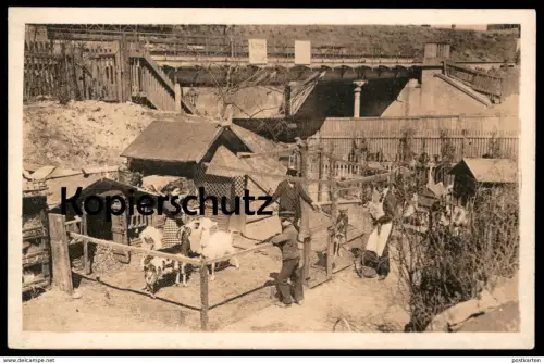 ALTE POSTKARTE BERLINER TYPEN LAUBENKOLONIE Ziege Berlin Schrebergarten goat allotment jardin familial cpa postcard AK