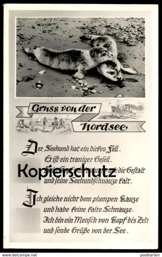 ÄLTERE POSTKARTE NORDERNEY DER SEEHUND HAT EIN DICKES FELL ER IST EIN... WATTENMEER Nordsee Seal veau marin phoque AK