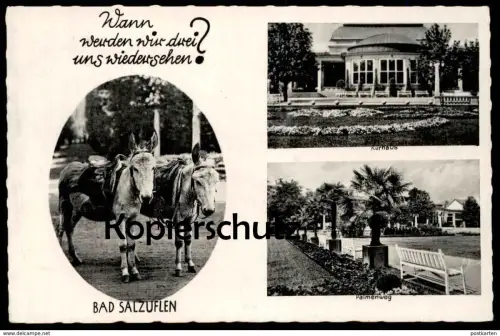 ALTE POSTKARTE BAD SALZUFLEN ESEL HUMOR WANN SEHEN WIR DREI UNS WIEDER Palmenweg donkey ane cpa postcard Ansichtskarte
