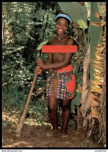 ÄLTERE POSTKARTE AFRICAN LIFE NATAL Africa femme nu nue nus nude breast woman nudity nackte Frau nackt seins postcard