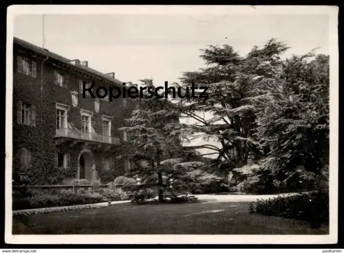 ALTE POSTKARTE SCHLOSS HOMBURG SITZ DER LANDGRAFEN V. HESSEN-NASSAU ANSICHT VON SÜDOSTEN MIT CEDER Zeder Ansichtskarte