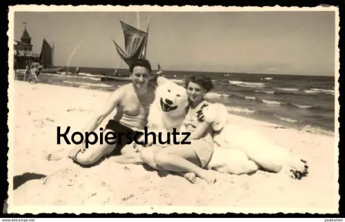 ALTE FOTO KARTE AHLBECK EISBÄR AM STRAND USEDOM Heringsdorf Bär ours blanc ice polar bear cpa photo Postkartenformat