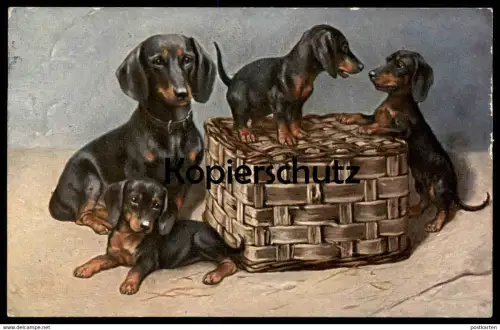 ALTE POSTKARTE DACKEL WELPEN SPIELEN KORB HÜNDIN Hund Dachshund Teckel dog chien Ansichtskarte AK postcard cpa