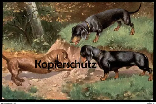 ALTE POSTKARTE DACKEL JAGDHUND Fuchsjagd Hund Dachshund Teckel dog chien Fuchsbau Fuchs Jagd hunting cpa AK postcard