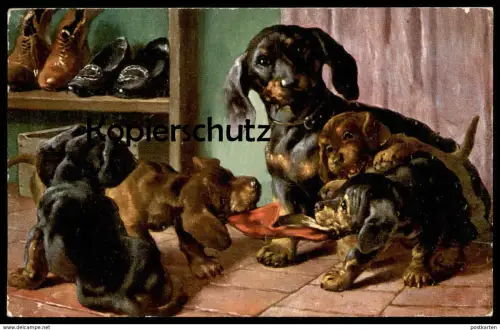 ALTE POSTKARTE DACKEL WELPEN SPIELEN Schuhe shoes Hund Dachshund Teckel dog chien Ansichtskarte AK postcard cpa