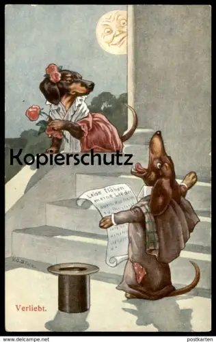 ALTE POSTKARTE DACKEL VERMENSCHLICHT VERLIEBT Mond Hund Dachshund Teckel dog chien postcard cpa AK