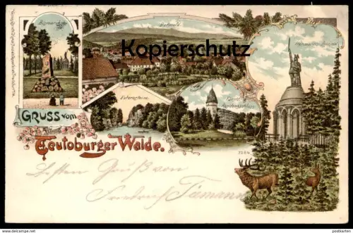 ALTE LITHO POSTKARTE GRUSS VOM TEUTOBURGER WALDE 1899 DETMOLD BISMARCKSTEIN HERMANNSDENKMAL RESIDENZSCHLOSS EXTERNSTEINE