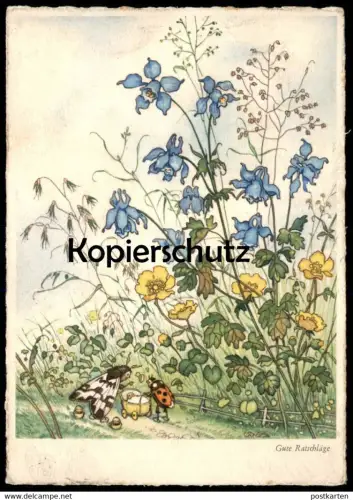 ALTE KÜNSTLER POSTKARTE INSEKTEN VERMENSCHLICHT MARIENKÄFER KÄFER GUTE RATSCHLÄGE Motte ladybird Ansichtskarte postcard