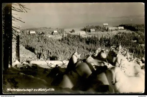 ALTE POSTKARTE OBERBÄRENBURG WINTERLANDSCHAFT ZU WALDIDYLLE ERZGEBIRGE Altenberg Schnee snow Winter Idylle Ansichtskarte