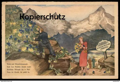 ALTE POSTKARTE REICHSSTELLE FÜR NATURSCHUTZ PFLANZENSCHUTZ Pflanzen Blumen flowers fleurs Verbot Ansichtskarte postcard