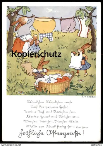 ALTE POSTKARTE FRÖHLICHE OSTERGRÜSSE HASEN VERMENSCHLICHT HANS WOLFF VON PONICKAU Hase rabbit bunny easter cpa postcard